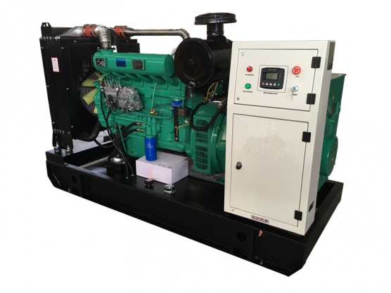 12kw, 300kw Ricardo generator Engine 